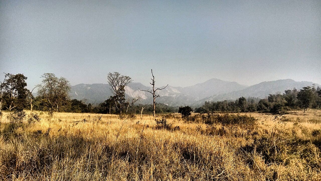 Landscape at Rajaji National Park, Uttarakhand